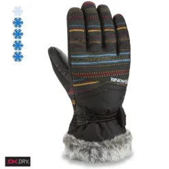 Dakine Alero Glove Ski- / Snowboard Gloves Nevada
