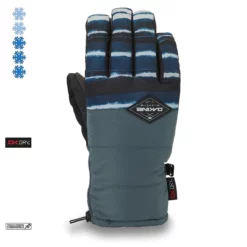 Dakine Omega Glove Ski- / Snowboard Gloves Resin