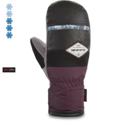 Dakine Team Fleetwood Mitt Ski- / Snowboard Gloves Leanne Pelosi